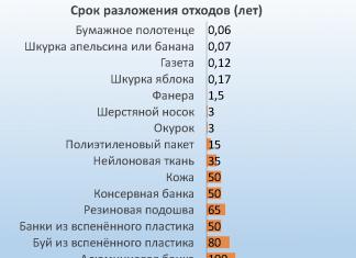 Сроки разложения отходов: сколько поколений переживет Ваша мусорная корзина?